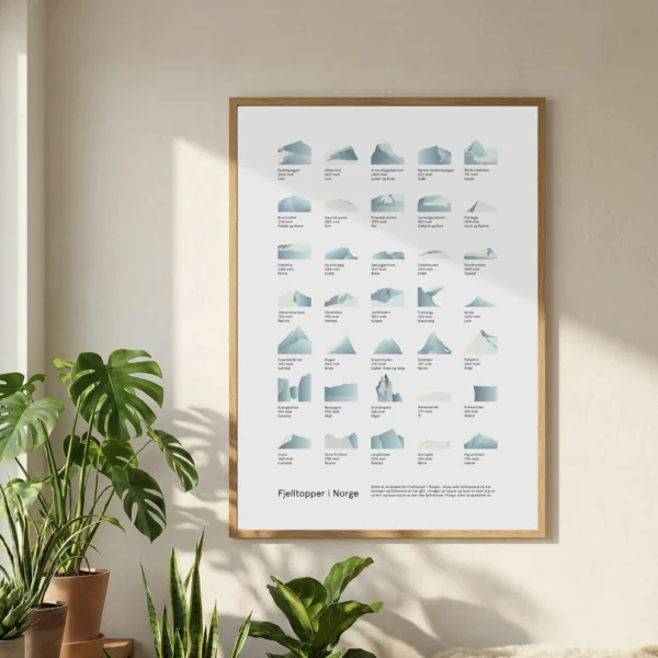 fjellkartet-2026-produktbilde-22 (1)